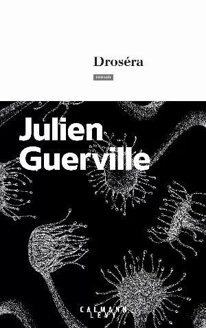 Julien Guerville – Droséra